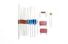 Burns Buzzaround Vintage kit with pots Wima MKS Piher Allen Bradley