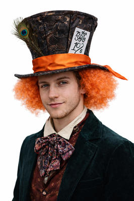 Adults Mad Hatter Top Hat Wonderland Fancy Dress Costume Accessory