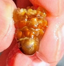 Vintage 1970s Deer Creek Arizona Fire Agate Rough 3.7 Ounces