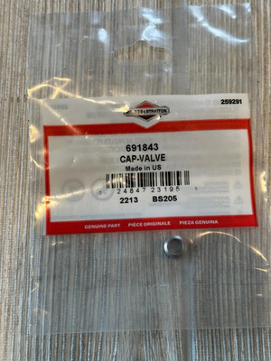 Genuine OEM Briggs & Stratton 691843 Valve Cap Replaces 262836