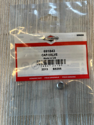 #ad Genuine OEM Briggs amp; Stratton 691843 Valve Cap Replaces 262836 $10.00