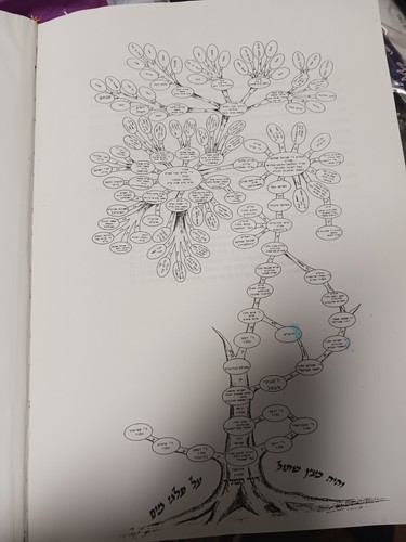 TZROR HACHAIM SELISH NEW EDITION WITH LOTS OF HISTORY GENOLOGY צרור החיים סעליש - Bild 24 von 24