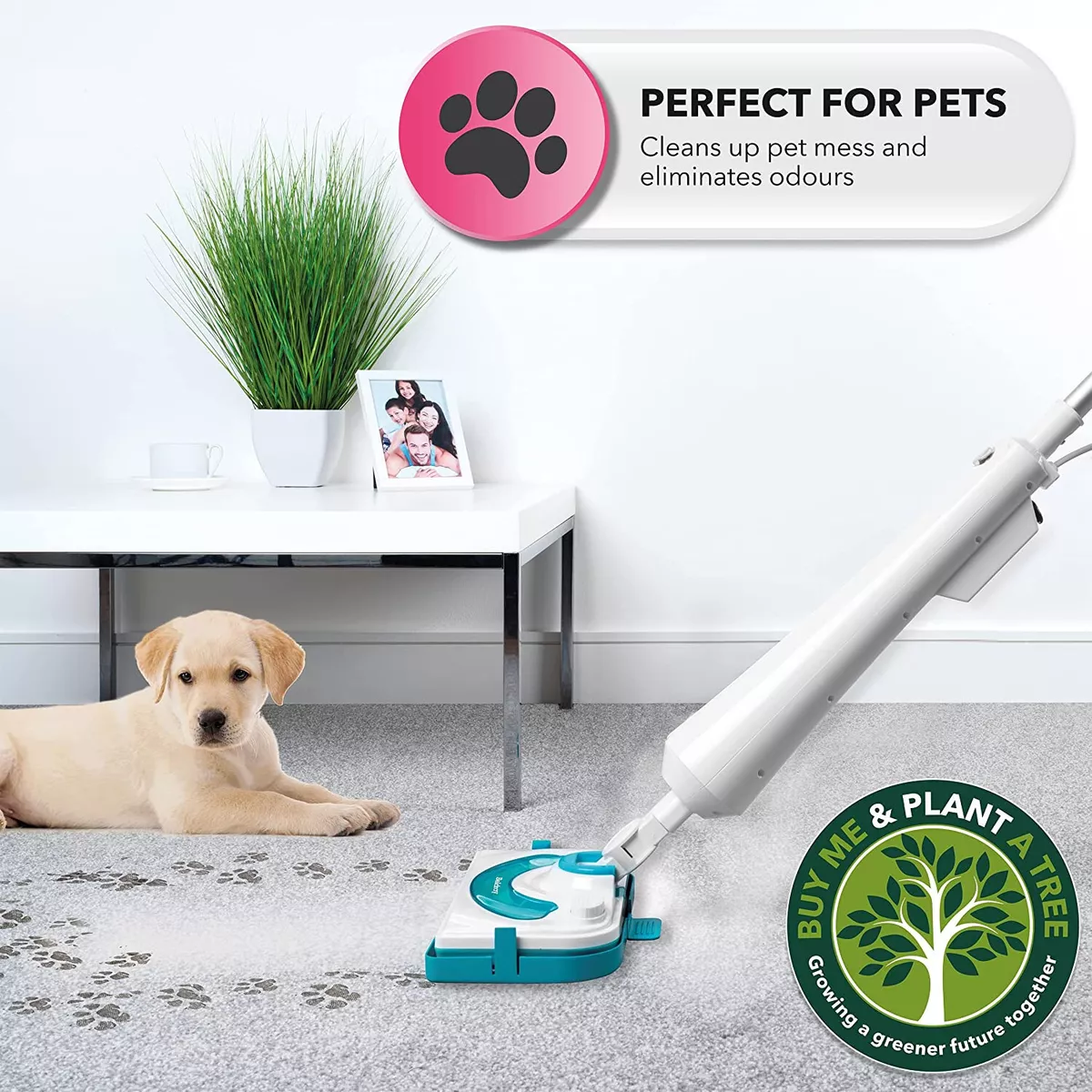 Beldray sale steam mop