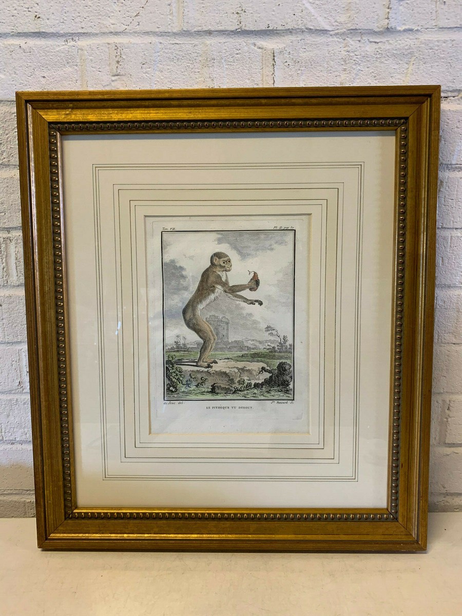 Gilles Sacksick、le chat a la chaise Gilles Sacksick - Le chat à la chaise - Photo de Musée Goya