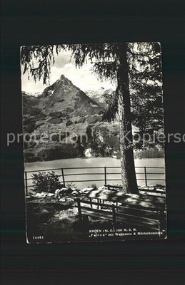 Amden Walensee SG Fallen mit Walensee und Muertschenstock