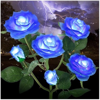 Charming Solar Decorative Lights for Garden