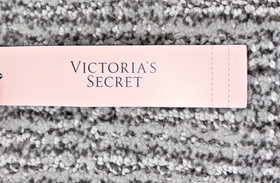 Victoria's Secret Dream Angels NWT Large Pink Crystal Shimmer Brazilian Panty