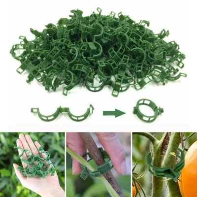 50PCS Tomato Greenhouse Ties Veggie Plant Support Clips Garden trellis Stake