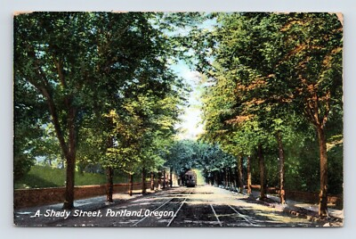 #ad Not the Only Shady Street View in Portland Oregon OR 1909 DB Postcard P12 $4.95