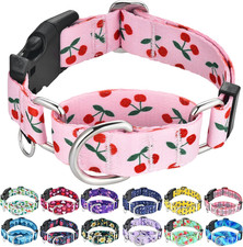 Martingale Dog Collar for Medium Dogs with Buckle No Pull Pink Girl Cute Dog Col