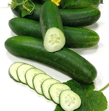 Talladega Cucumber Seeds (25+ Seeds)