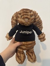 Jellycat Juniper With Jumper BNWT