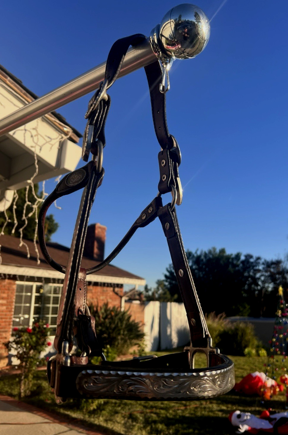 Circle Y ENGRAVED SILVER SHOW HALTER - STANDARD - Headstall Bridle Horse Tack