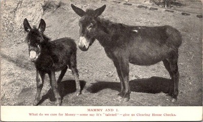 MAMMY and I Donkeys animal WHAT DO WE CARE FOR MONEY Postcard