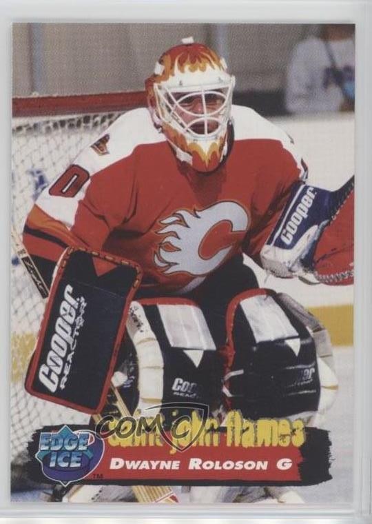 1995-96 Collector's Edge Ice Blank Back Dwayne Roloson #73 0a1