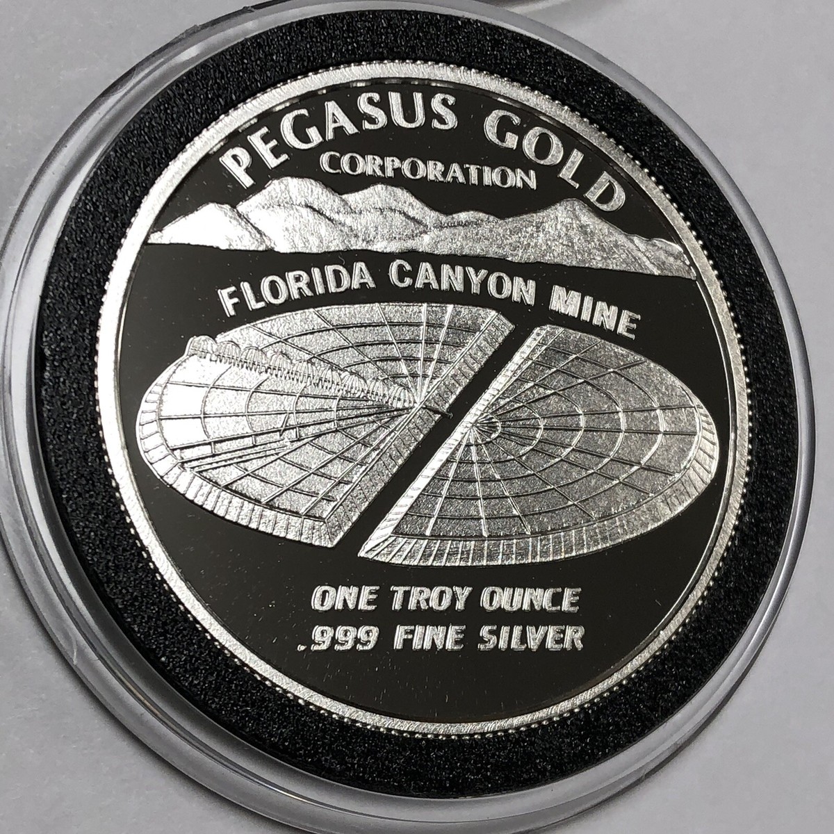 1986 Pegasus Florida Canyon Mine 1 Troy Oz .999 Fine Silver Round