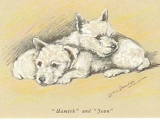 West Highland White Puppy | Westie - CUSTOM MATTED - Dog Art Print - Lucy Dawson