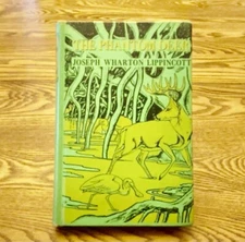 THE PHANTOM DEER by Joseph Warton Lippincott HC, 1954 First Edition 