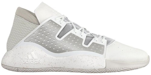 New adidas Pro Vision Raw White Brooklyn 11122 Basketball  display picture 1