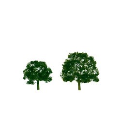 Walnut 5' Prem O 1pk