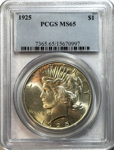 1925 Peace Dollar PCGS MS65 — Gem BU Colorful Toning (See Video) 🔥