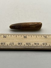 Spinosaurus 1.75” TOOTH  Teeth Dinosaur Fossil RARE Pre-Maxillary F110