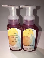 2 New Bath Body Works ENDLESS WEEKEND Gentle Clean Foaming Hand Soap 8.75oz.
