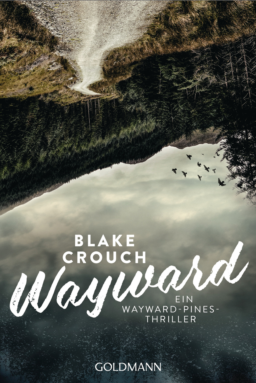 Thumbnail - Blake Crouch; Kerstin Fricke / Wayward