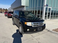 2010 Ford Escape XLT Sport Utility 4D