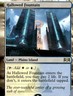 Ravnica Allegiance #251 Hallowed Fountain