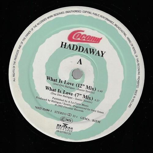 Haddaway What Is Love COCONUT 1992 HOLLAND DISCO VINILE 33 GIRI AC11 86988 - Foto 4 di 4