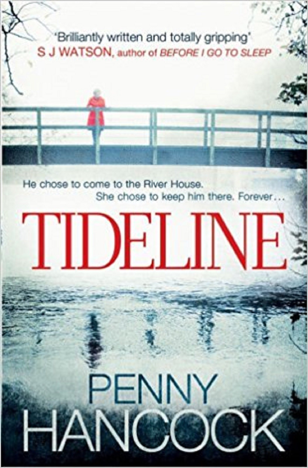 Penny Hancock Tideline Book NEW Paperback Novel
