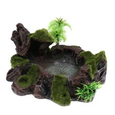 Rock Bowl Food Water Bowl Feeder Plants Decor for Terrarium Reptile