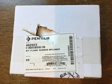 462023 Pentair ETI 400 Flame Sensor Replacement Kit