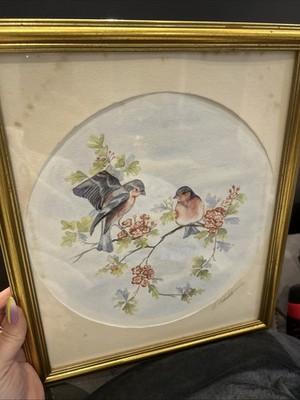 Vintage Aquarell Vögel Finken Gemälde signiert unsicher Signatur