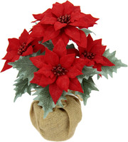 KüNstliche Blume Poinsettie Im Jute-Topf Weihnachtsstern Christstern Weihnachtsd