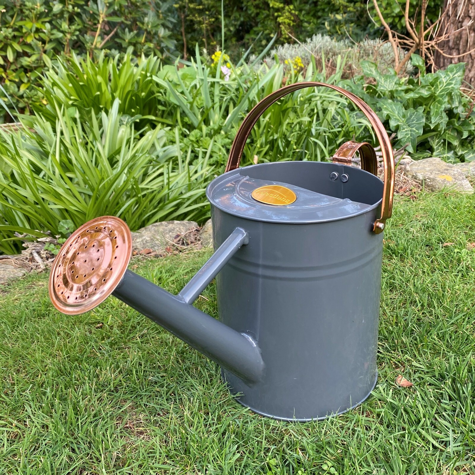Metal Watering Cans Small & Large Vintage Style With Copper Trim