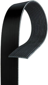 Details about Serpentine Belt-Premium OE Micro-V Belt Gates K120903