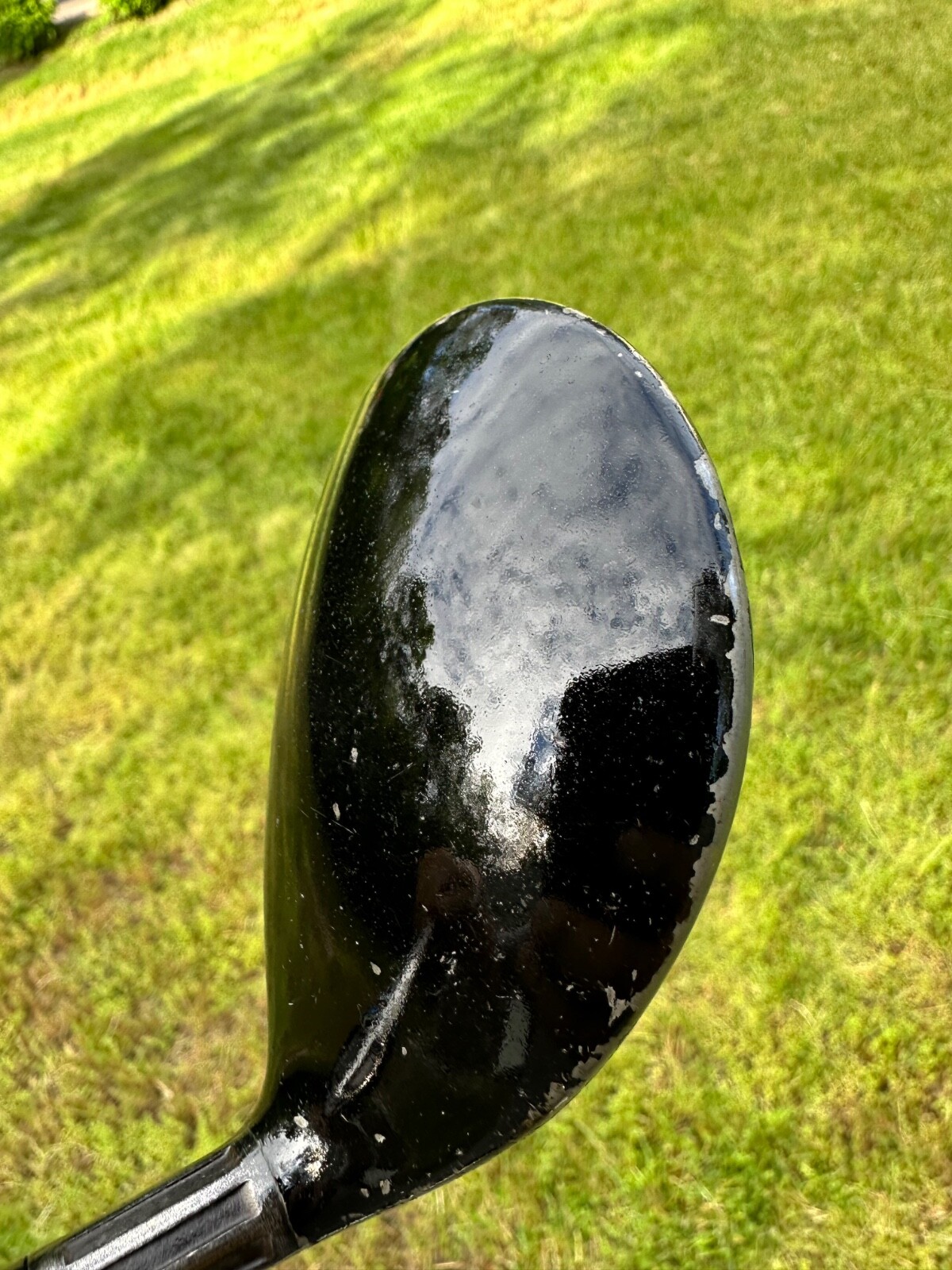 Picture 4 of 11