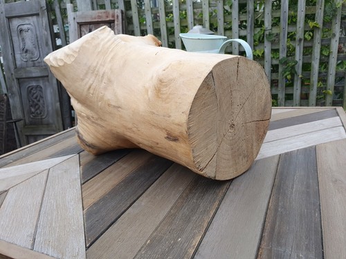 Wooden natural organicSculpture Modernist Abstract garden/reptile Unique Piece - Picture 9 of 12