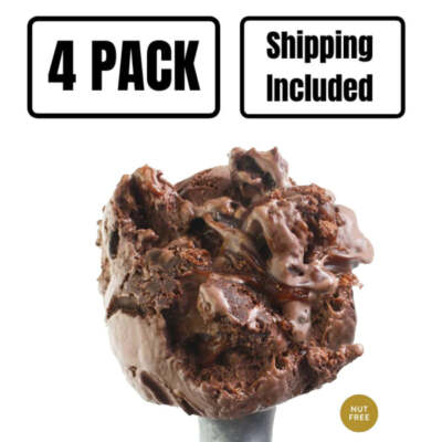 Chocolate Cake Ice Cream | For Chocolate Lovers | 4 Pack | Shipping Included