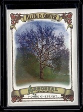 2021 Topps Allen & Ginter Horse Chestnut ##AA-6