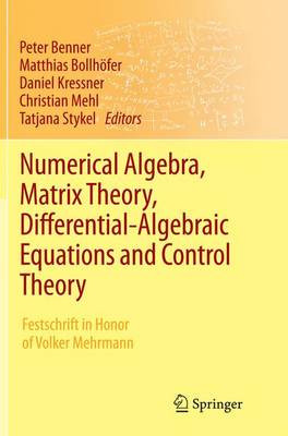 Numerische Algebra, Matrixtheorie, Differential-Algebraische Gleichung... - 9783319384313