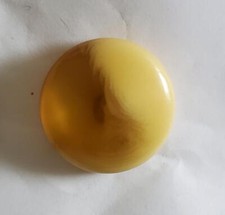 Vegetable Ivory Translucent Ecru Shank Vintage Buttons 45L-1 1/8"-29mm (B349A)