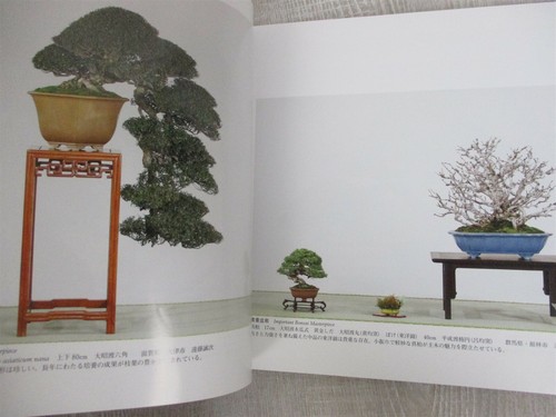 BONSAI KOKUFU Exhibition 84th Photo Art Book Japan 2010 Catalog - Picture 6 of 12