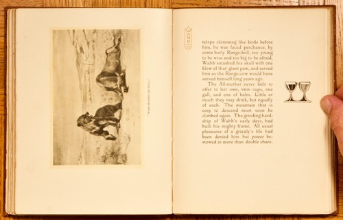 1900 1. Chr.; Die Biographie eines Grizzilys von Ernest Seton-Thompson; Das Jahrhundert - Bild 13 von 21