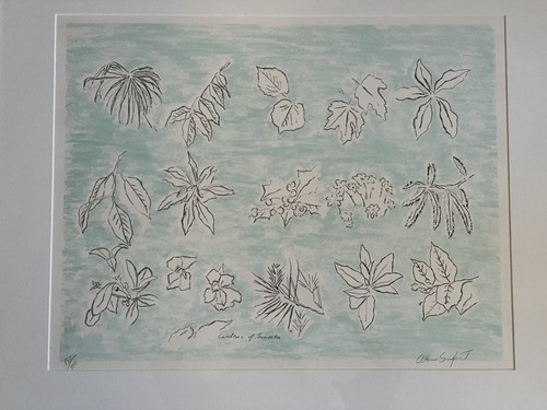 Alan Sonfist-Giardini di Sonesta-Litografia firmata e numerata con cornice a matita - Foto 9 di 11