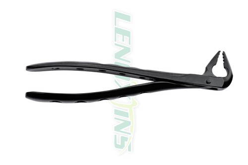 Universal Atraumatic Extraction Forceps Lower Anterior, German SS, CE Black - Picture 2 of 7