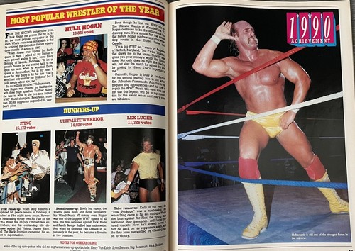 March 1991 PRO WRESTLING ILLUSTRATED pwi ~ 1990 Year in Wrestling; color pinups - Picture 7 of 11