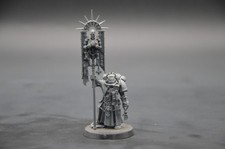 Warhammer 40k Space Marines Bladeguard Ancient used